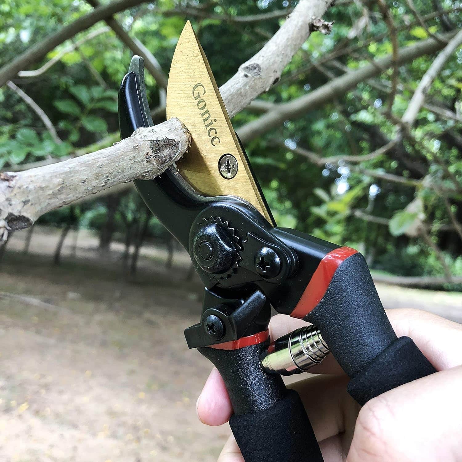 Best Gardening Pruning Shears