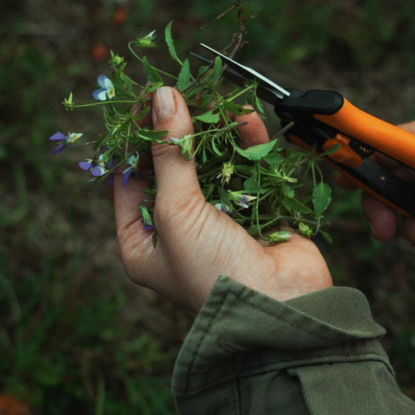 Fiskars Microtip Pruning Snips