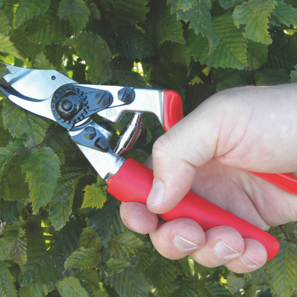 Felco Pruning Shears